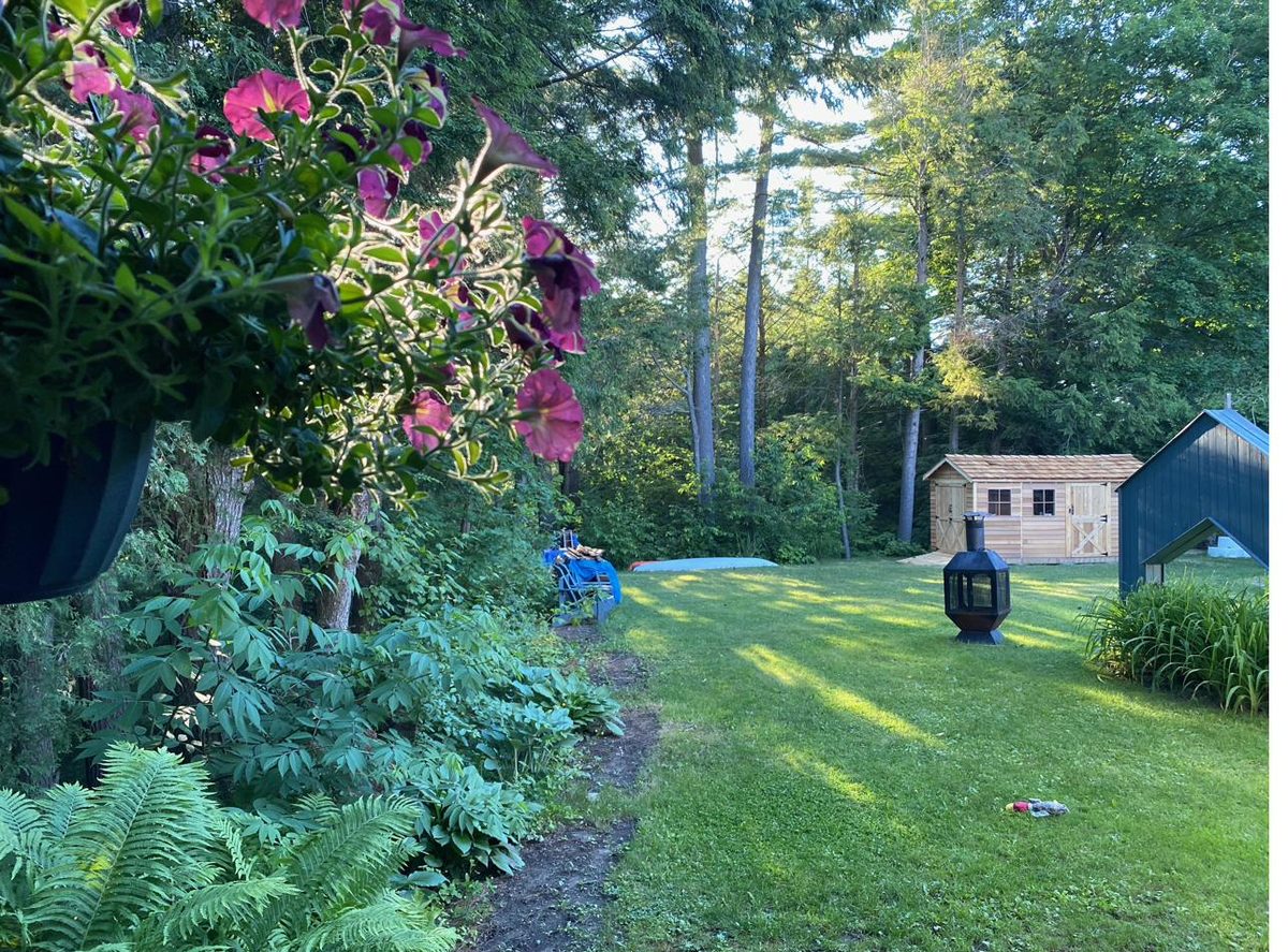 Jardin et cabanon dans la lumière du soir, en été