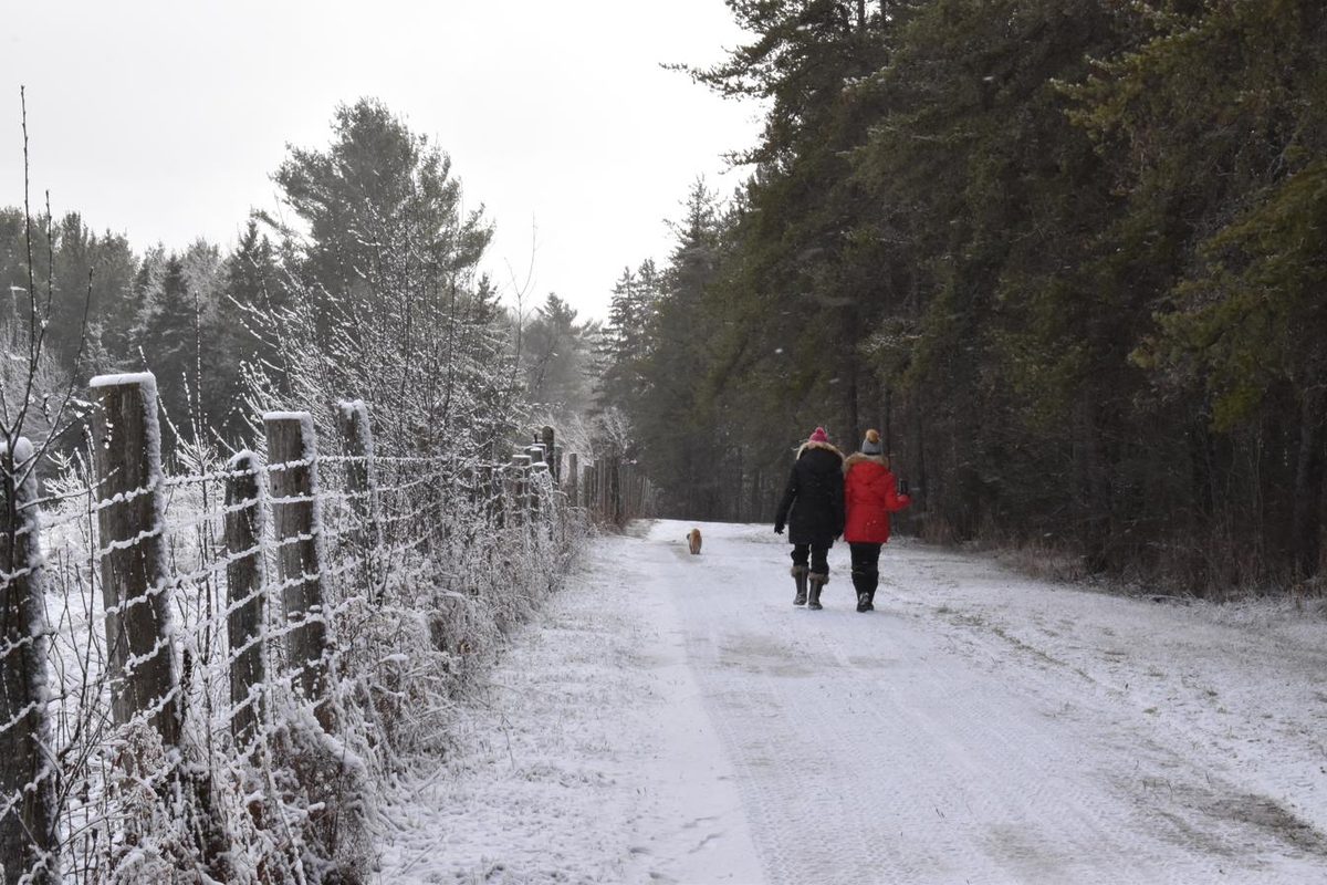 Deux marcheurs et un chien sur un chemin enneigé de L'Ange-Gardien